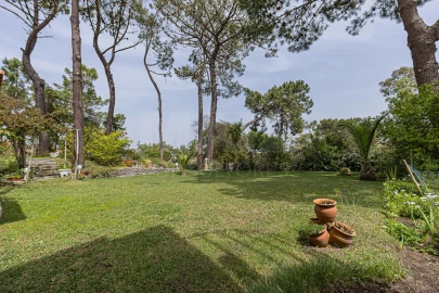 Moradia T2 para Venda em Carvalhal