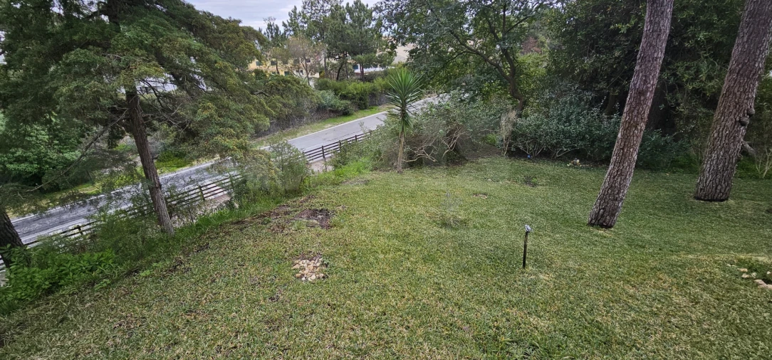 Moradia T2 para Venda em Carvalhal Foto 10