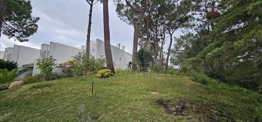 Moradia T2 para Venda em Carvalhal Foto 7