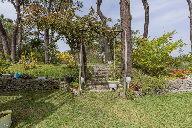 Moradia T2 para Venda em Carvalhal Foto 4
