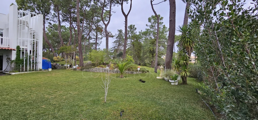 Moradia T2 para Venda em Carvalhal Foto 4