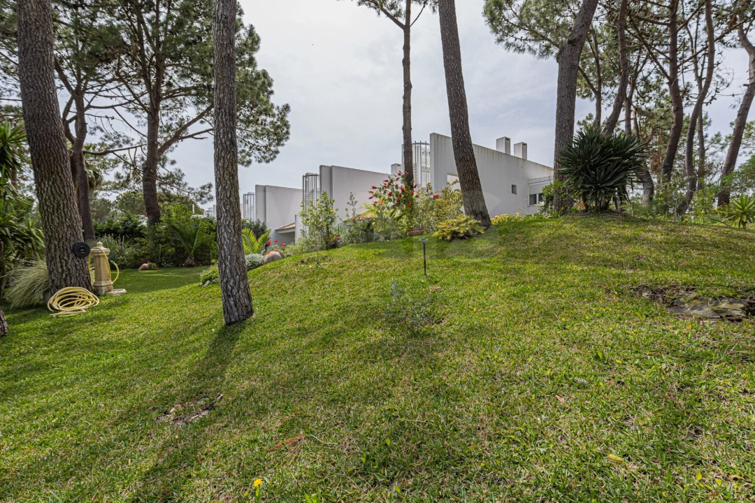 Moradia T2 para Venda em Carvalhal Foto 3
