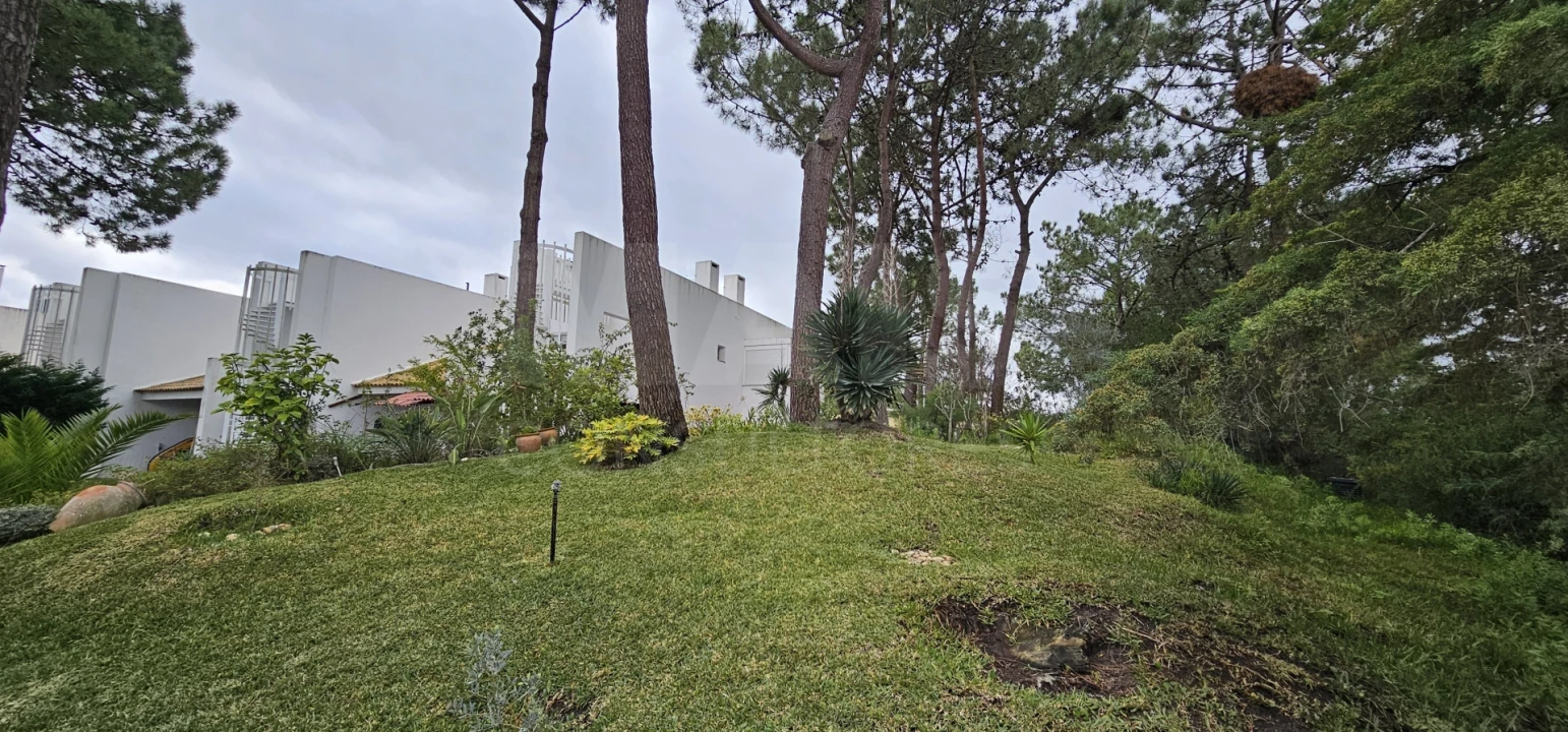 Moradia T2 para Venda em Carvalhal Foto 7