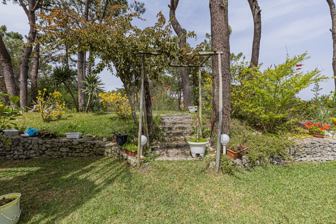Moradia T2 para Venda em Carvalhal Foto 4