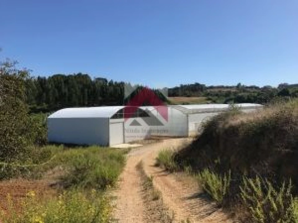 Quinta para Venda em Samuel Foto 17