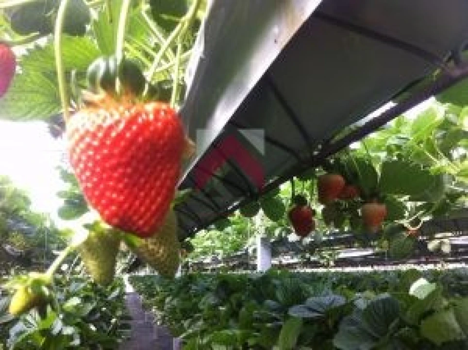 Quinta para Venda em Samuel Foto 21