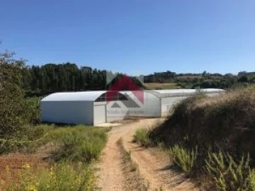 Quinta para Venda em Samuel
