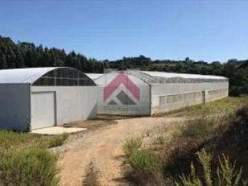 Quinta para Venda em Samuel