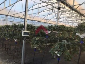 Quinta para Venda em Samuel