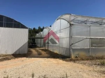 Quinta para Venda em Samuel