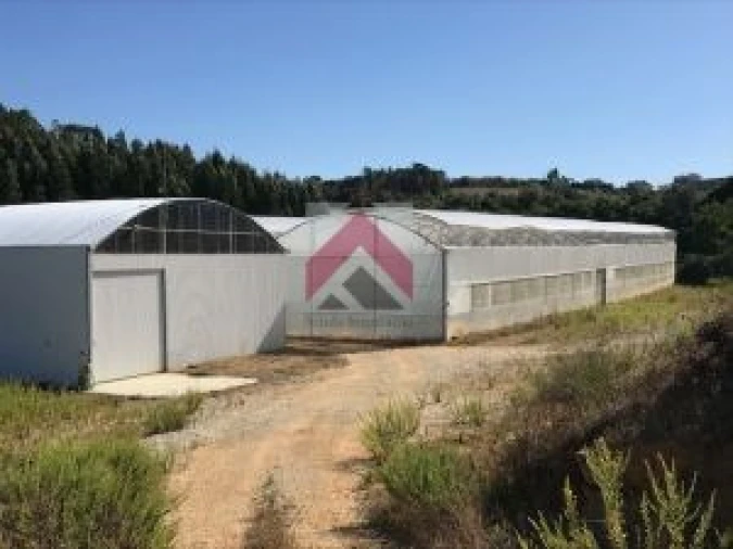 Quinta para Venda em Samuel Foto 16