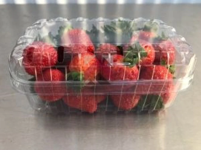 Quinta para Venda em Samuel Foto 20