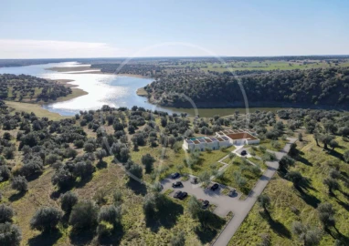 Negócio para Venda em Torrão