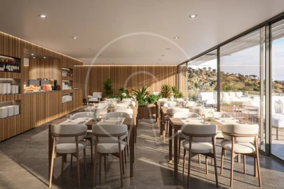 Negócio para Venda em Torrão