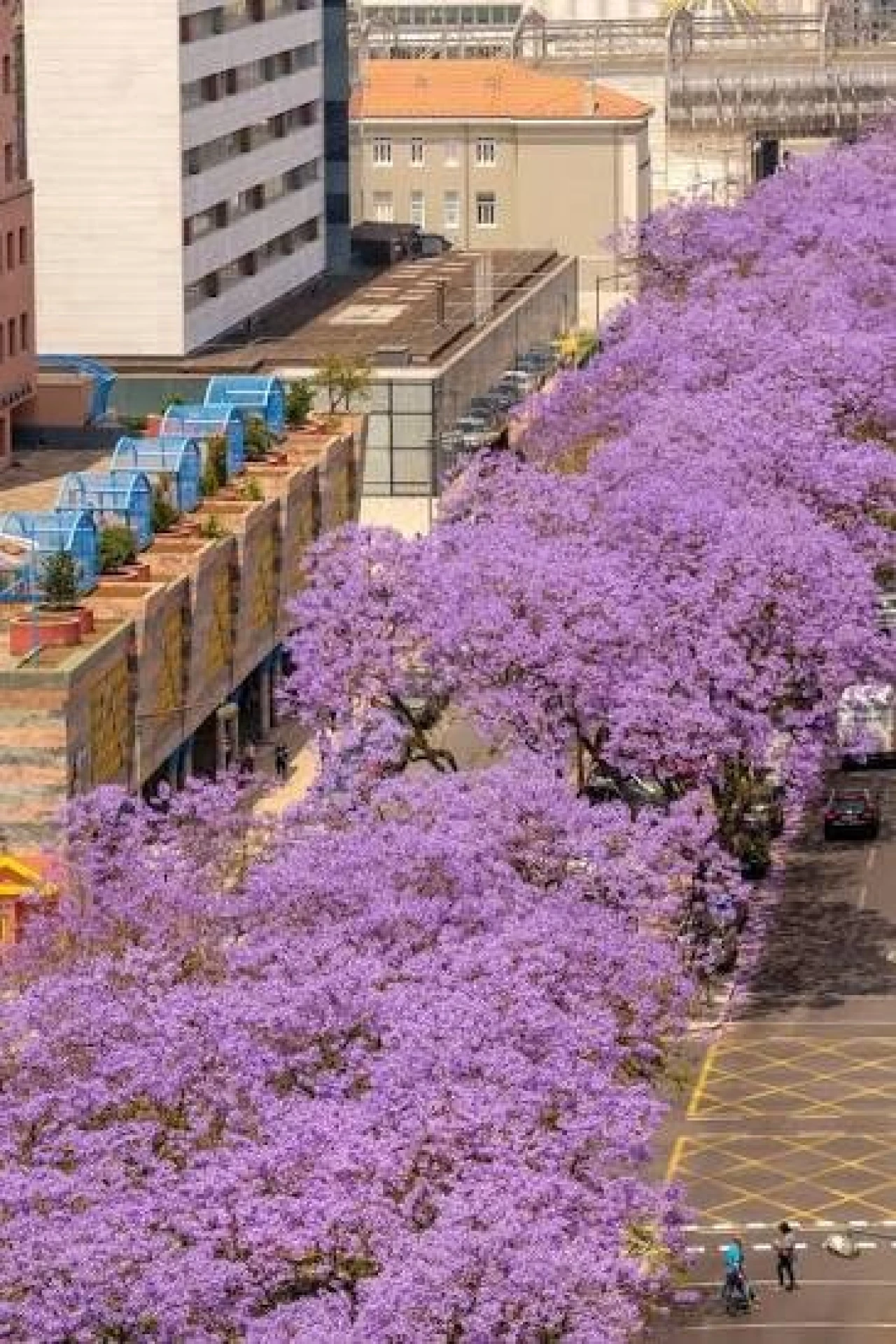 Apartamento T3 para Venda em Avenidas Novas Foto 3