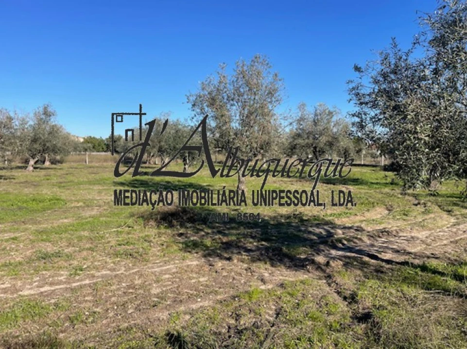 Terreno para Venda em Ponte de Sor, Tramaga e Vale de Açor Foto 1