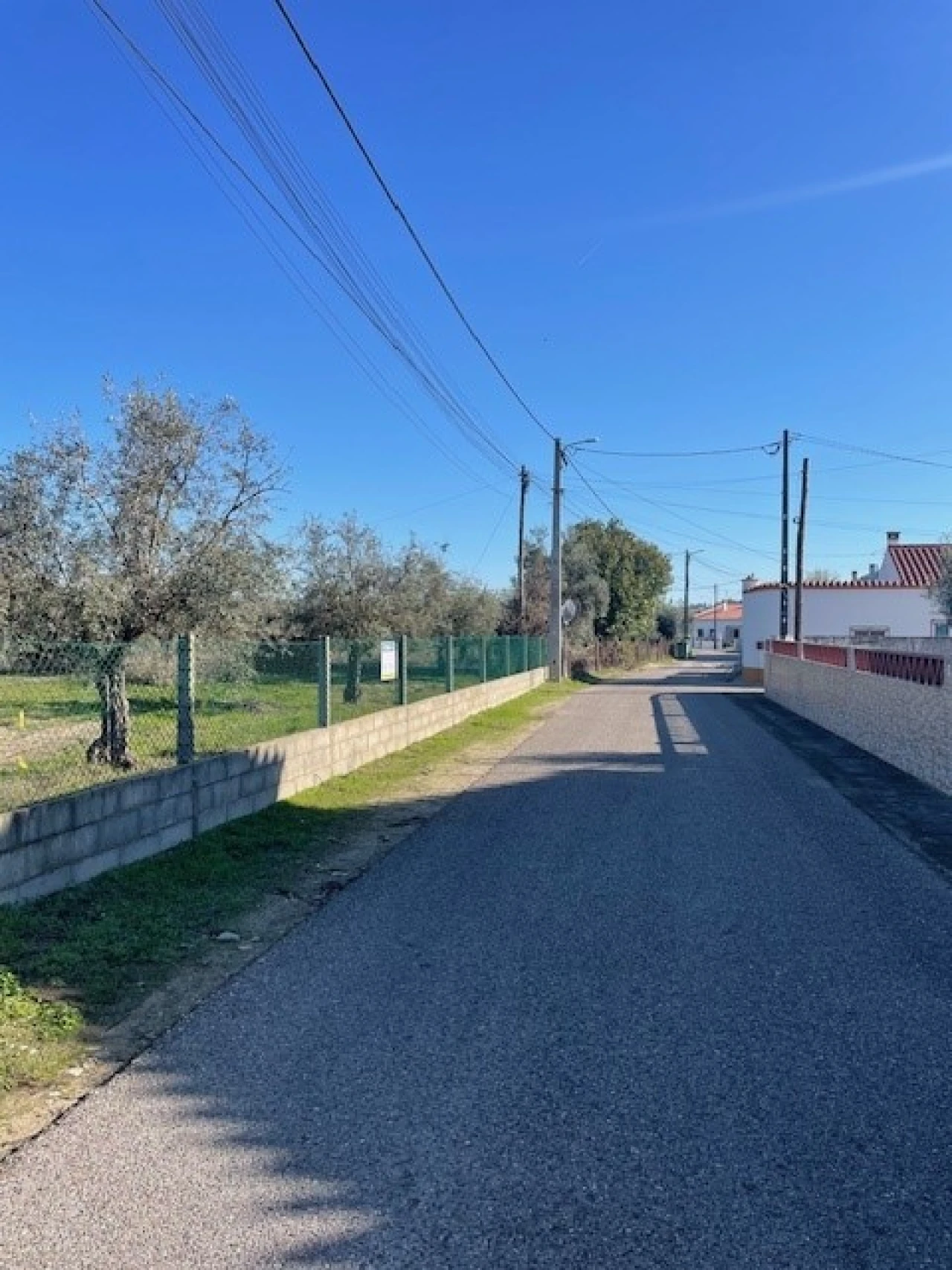Terreno para Venda em Ponte de Sor, Tramaga e Vale de Açor Foto 5