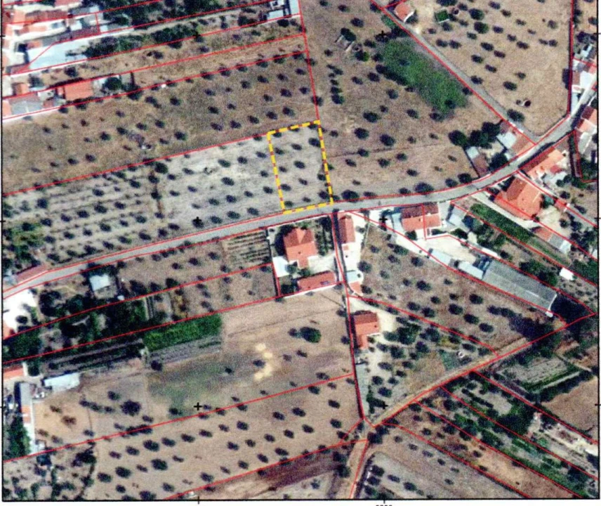 Terreno para Venda em Ponte de Sor, Tramaga e Vale de Açor Foto 7