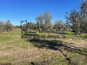 Terreno para Venda em Ponte de Sor, Tramaga e Vale de Açor