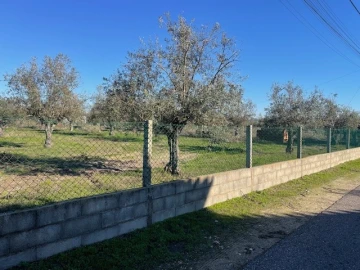 Terreno para Venda em Ponte de Sor, Tramaga e Vale de Açor