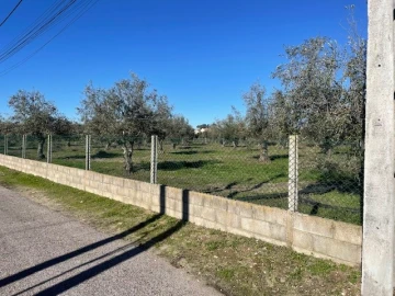 Terreno para Venda em Ponte de Sor, Tramaga e Vale de Açor