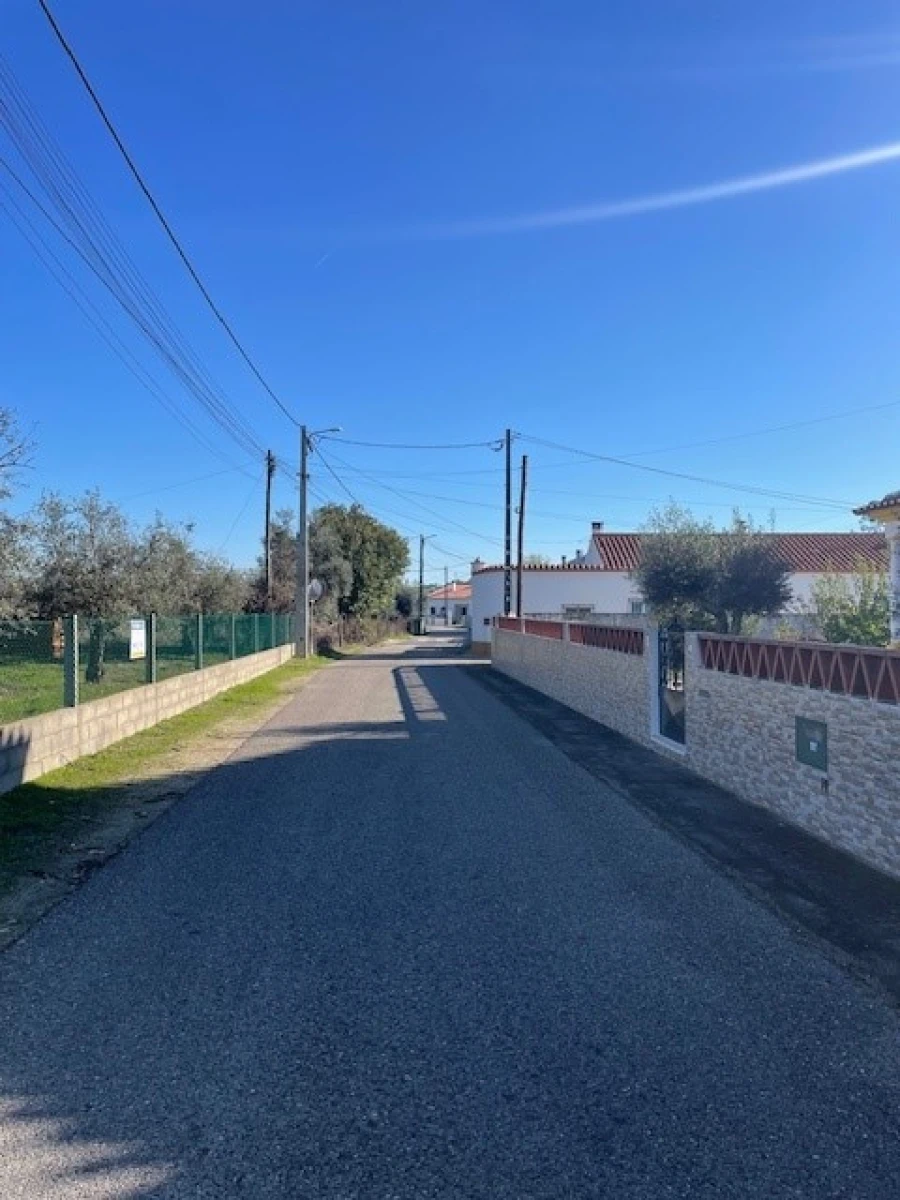 Terreno para Venda em Ponte de Sor, Tramaga e Vale de Açor Foto 6