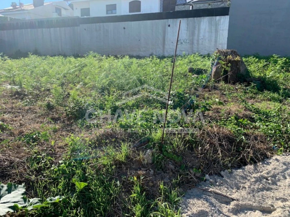 Terreno para Venda em Pedroso e Seixezelo Foto 5