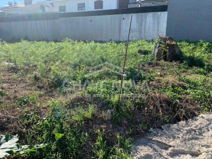 Terreno para Venda em Pedroso e Seixezelo Foto 5