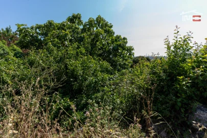 Terreno para Venda em Fatima