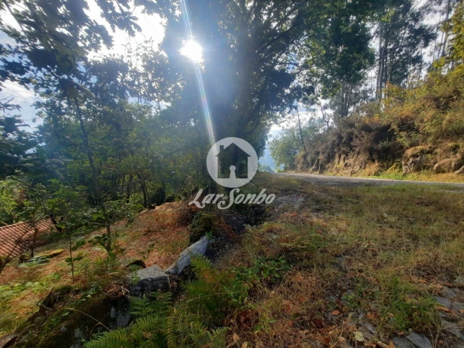 Moradia T2 para Venda em Moreira do Rei e Várzea Cova Foto 5