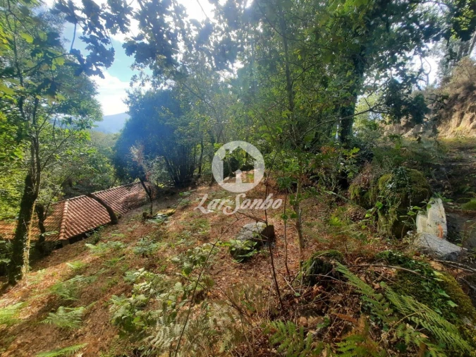 Moradia T2 para Venda em Moreira do Rei e Várzea Cova Foto 9