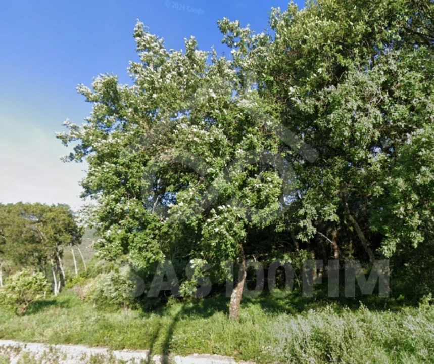 Terreno para Venda em Alvados e Alcaria Foto 5