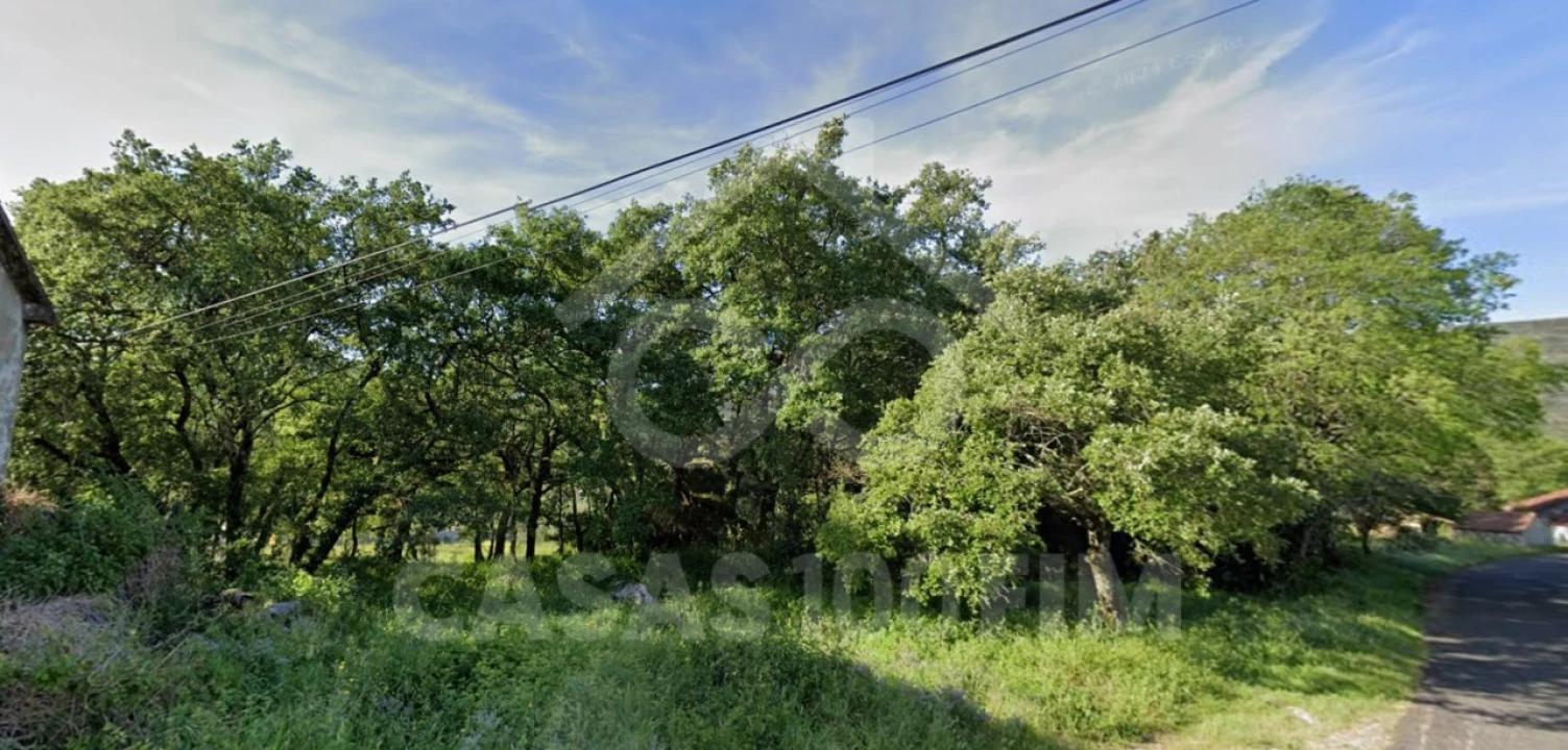 Terreno para Venda em Alvados e Alcaria Foto 7