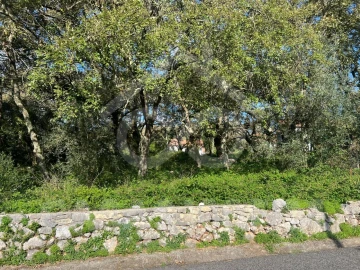 Terreno para Venda em Alvados e Alcaria