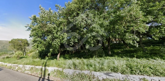 Terreno para Venda em Alvados e Alcaria