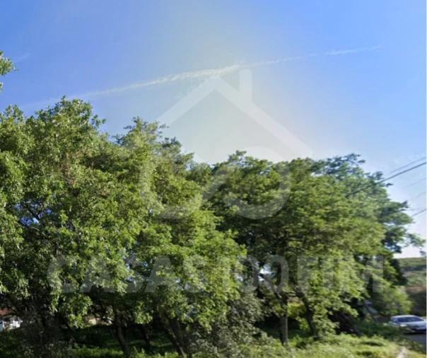 Terreno para Venda em Alvados e Alcaria Foto 3