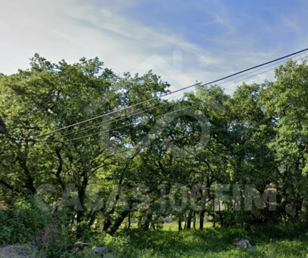 Terreno para Venda em Alvados e Alcaria Foto 4