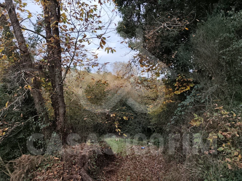 Quinta para Venda em Maiorga Foto 13