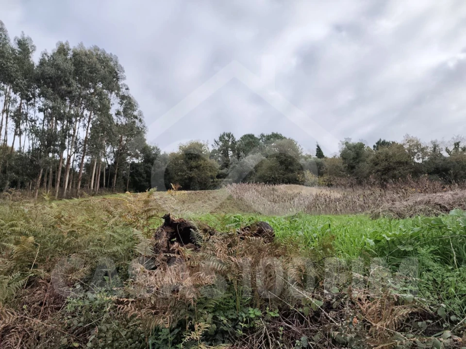 Quinta para Venda em Maiorga Foto 23