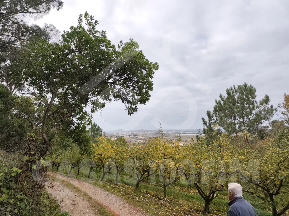 Quinta para Venda em Maiorga Foto 6