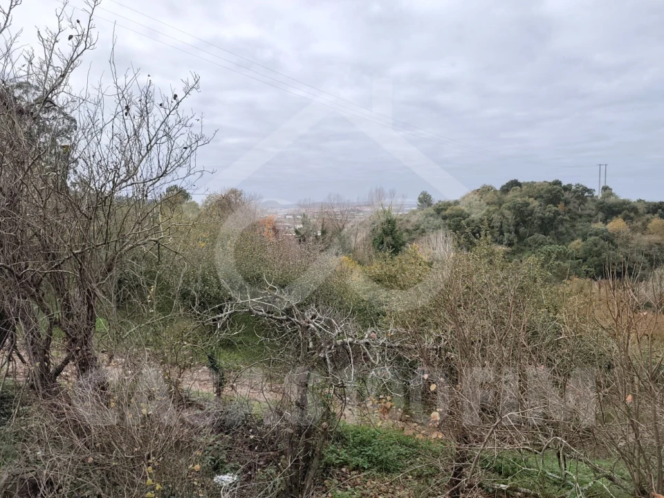 Quinta para Venda em Maiorga Foto 24