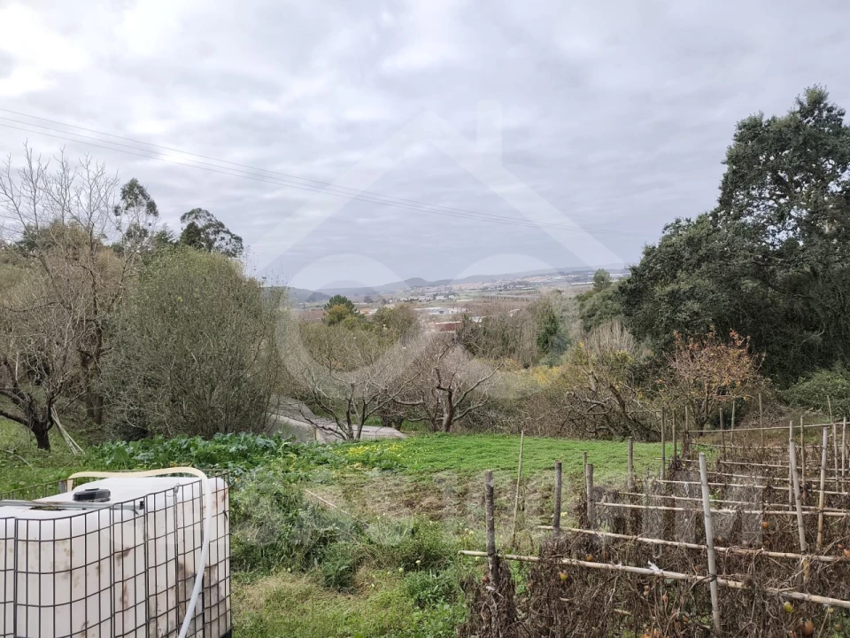 Quinta para Venda em Maiorga Foto 26