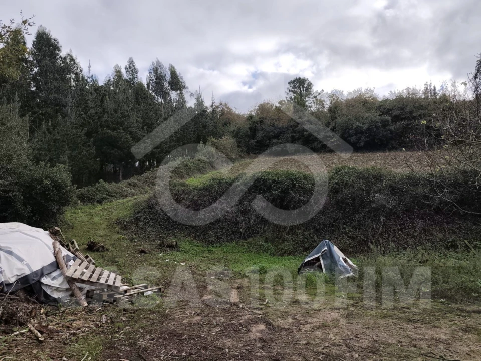 Quinta para Venda em Maiorga Foto 19