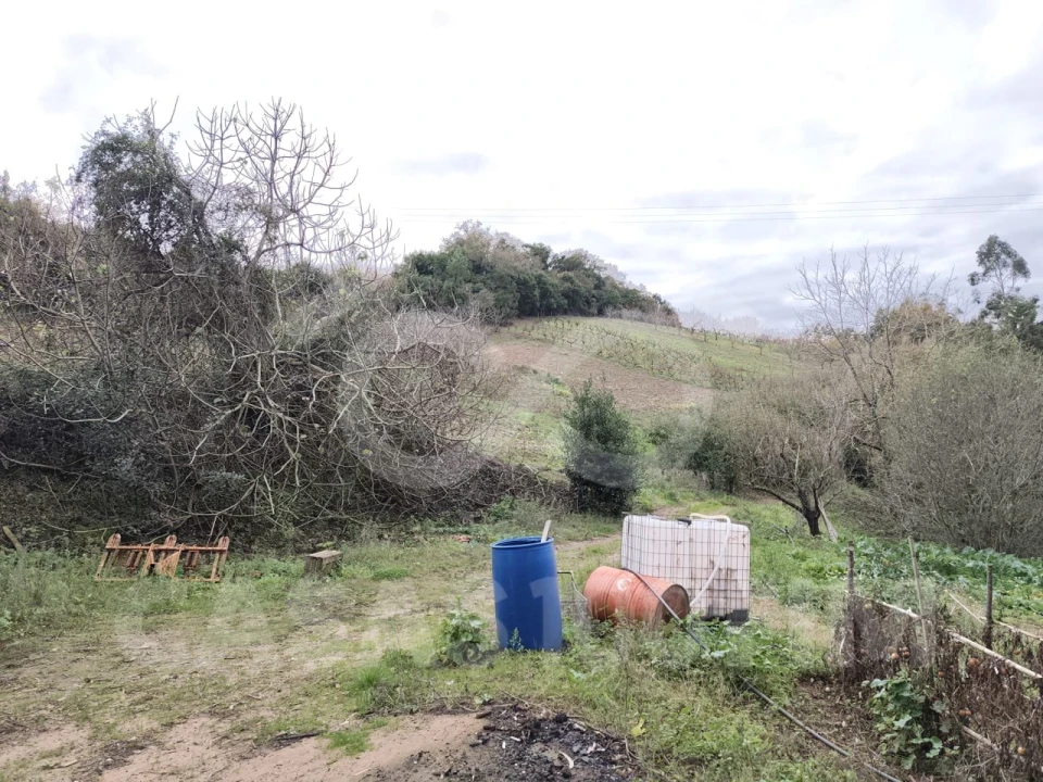 Quinta para Venda em Maiorga Foto 27