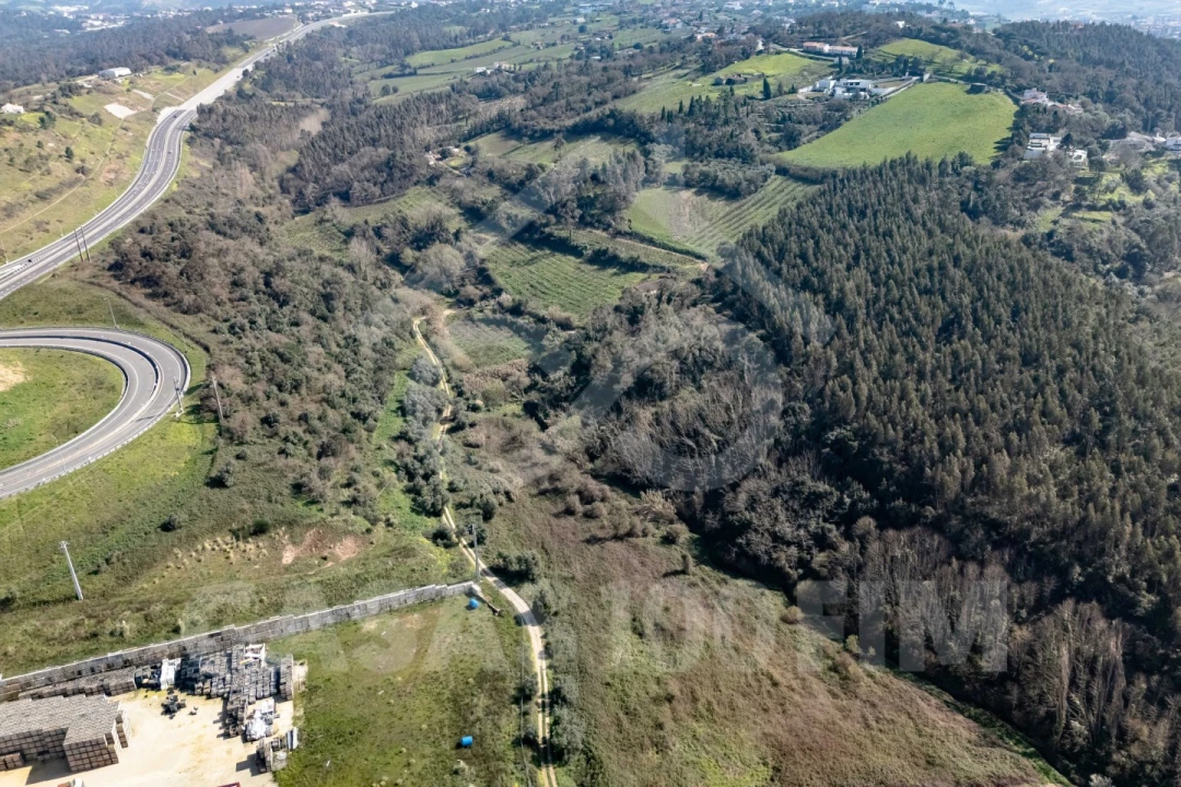 Quinta para Venda em Maiorga Foto 7