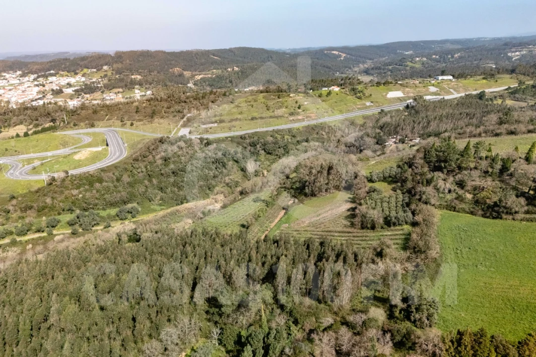 Quinta para Venda em Maiorga Foto 10