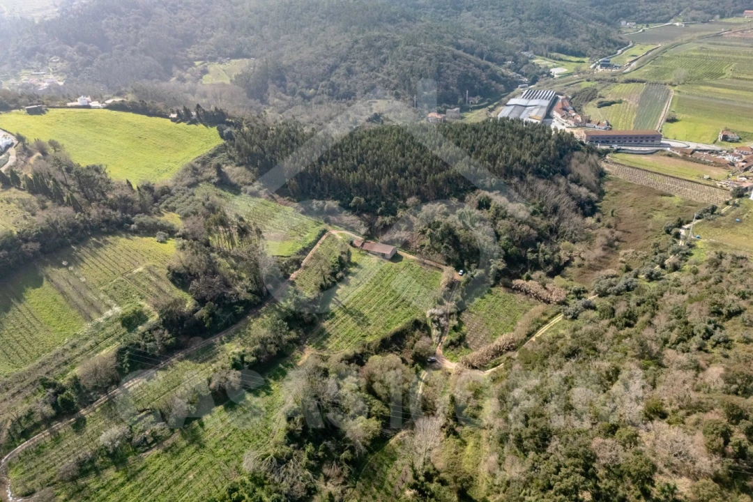 Quinta para Venda em Maiorga Foto 15