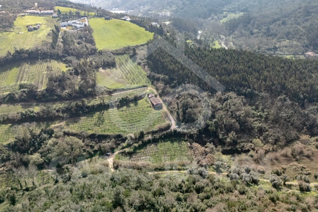 Quinta para Venda em Maiorga Foto 14