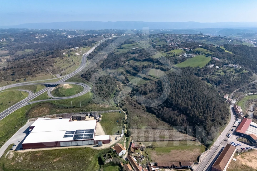 Quinta para Venda em Maiorga Foto 16