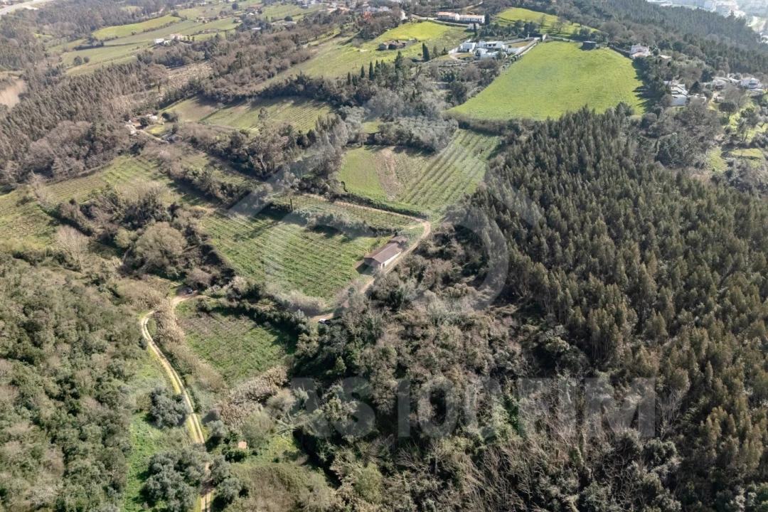 Quinta para Venda em Maiorga Foto 28